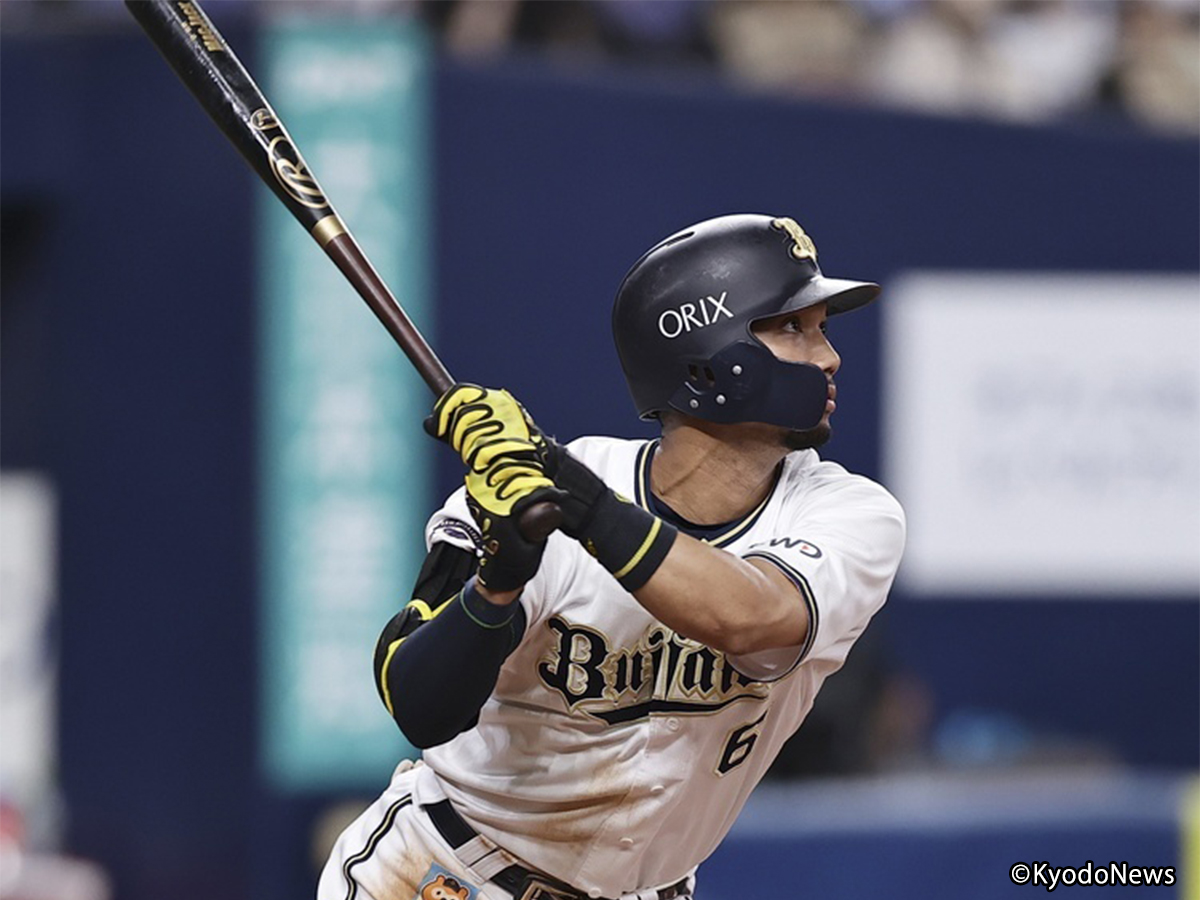 見事な オリックス・バファローズ 宗佑磨選手 NPBバット バット 