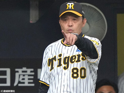 読売ジャイアンツ【2019-2020】 | BASEBALL KING