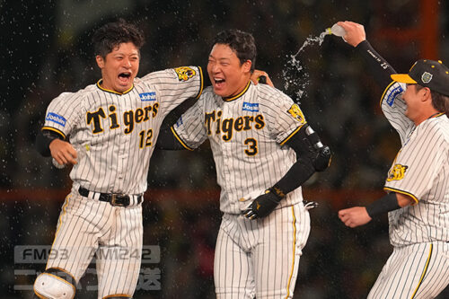 2023年プロ野球 球団別「劇的すぎるサヨナラゲーム」（セ・リーグ編