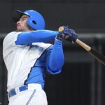 日本ハム・マルティネス
