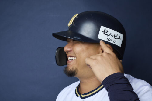 野球のセントラルリーグ生誕40周年記念プレート 野球のセントラルリーグ生誕40周年記念プレート - メルカリ