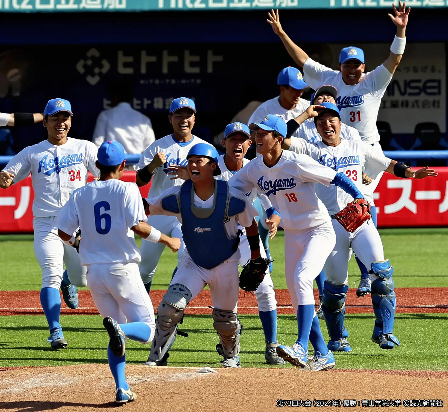 日本体育大学 日体大 野球部 Vジャン青白 日本製 Lサイズ