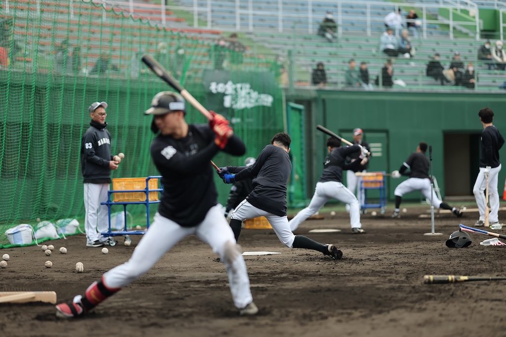 ロッテ、日テレNEWS24、DAZNなどで春季キャンプ、練習試合、オープン戦を生中継！